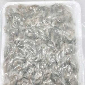 Baby Shrimps