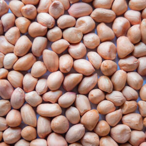 Peanuts