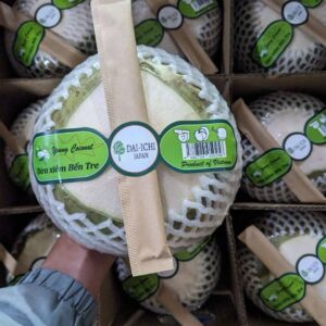 Fresh green coconut (peeled both ends)