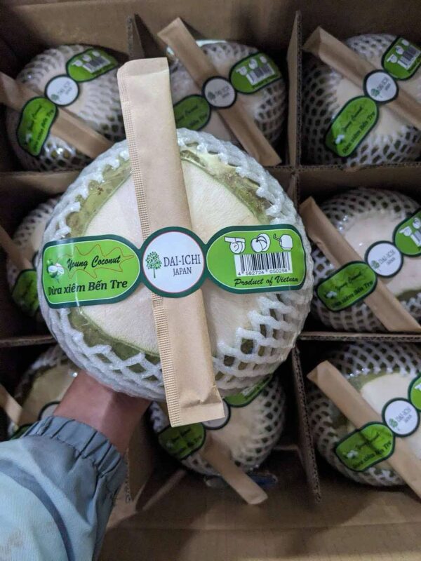 Fresh green coconut (peeled both ends)