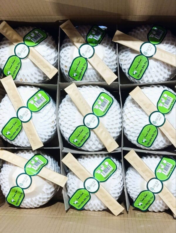 White coconut (peeled/diamond-cut)