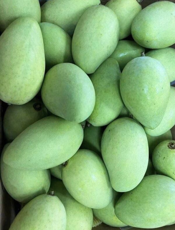 Green mango