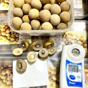 Longan (sweet variety)