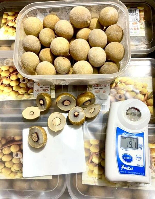 Longan (sweet variety)